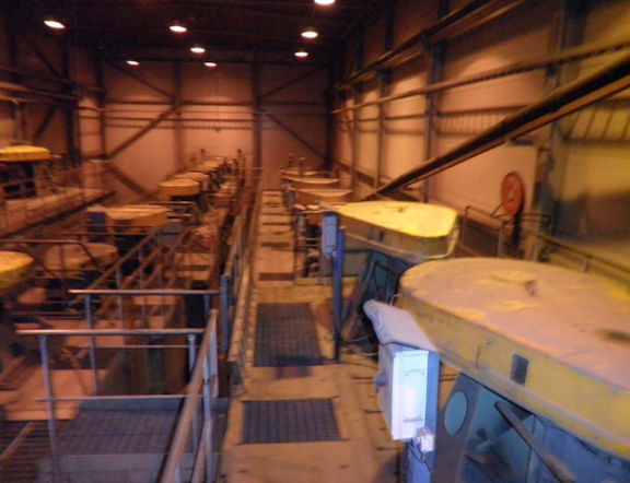 4000 Tpd Gold Plant)